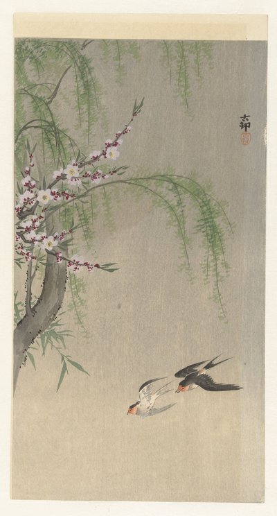飞翔的燕子 作者 大原功臣