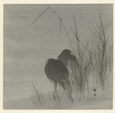 芦苇丛中的两只白鹭 作者 奥原精工