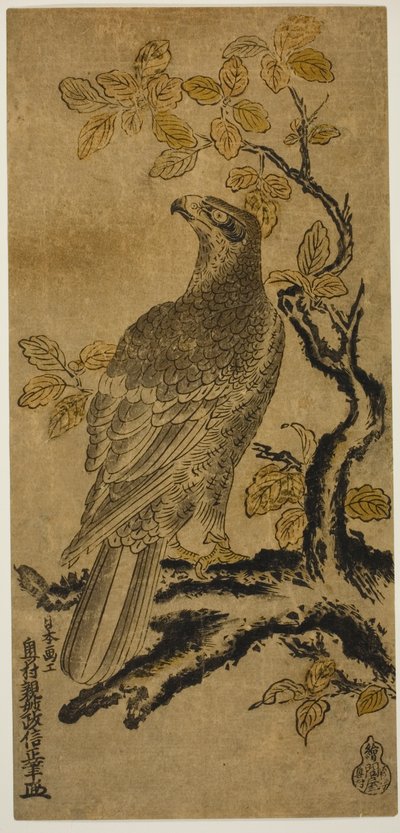 桐树上的鹰 作者 奥村昌信