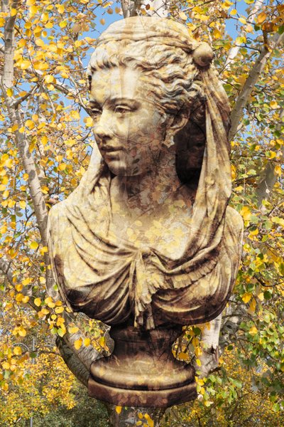 2019（数字混合媒体） 作者 