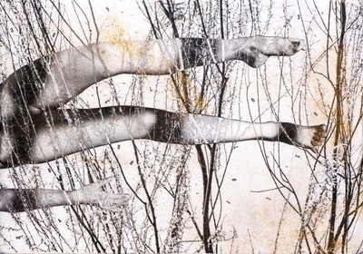 Gambe volanti，2022 年（木板上的混合媒介） 作者 