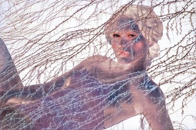 轩尼诗，2020 年（木质混合媒介） 作者 