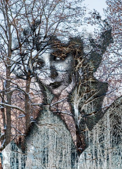 Ritratto invernale, 2021（数字混合媒介） 作者 