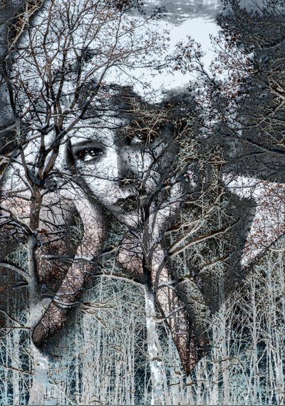底片中的冬季肖像，2021 年（数字混合媒介） 作者 