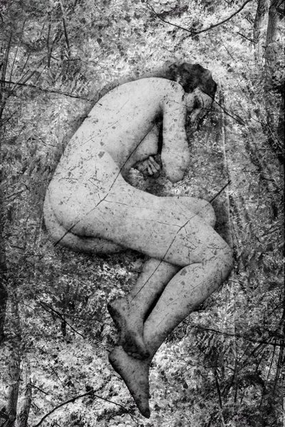 塞米，2024 年（数字混合媒介） 作者 