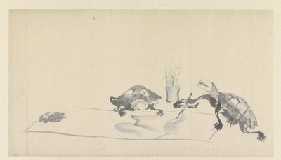 画海龟 作者 大西知念