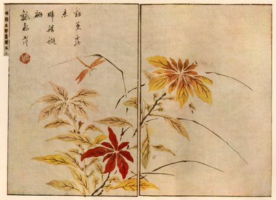 有植物的蜻蜓，1746年，1924年。   作者 大冈春北