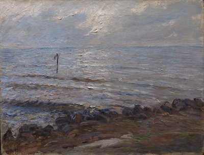 海上阳光 作者 奥斯卡·比约克