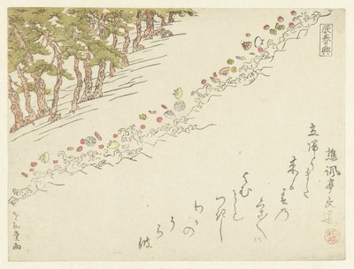 松树滩上的贝壳 作者 松风亭文雄
