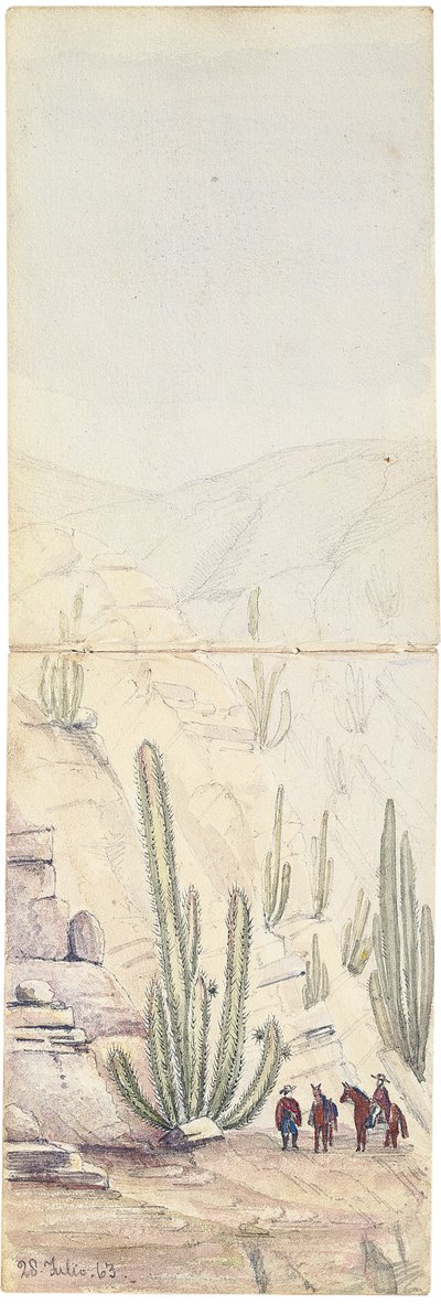 1863年，“ Quebrada”深处的仙人掌 作者 奥斯瓦尔德·扬夫斯班