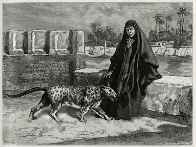 Torkan Khanoum, favorite of Sheikh Moses, powerful tribal leader of Arabistan with his panthere. Engraving by Tofani, to illustrate the story “Persia, Chaldee and Susiane” 作者 奥斯瓦尔多·托法尼（Oswaldo Tofani）