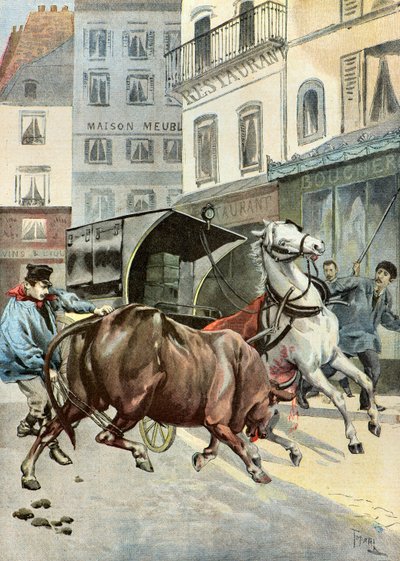 一头公牛从监护人手中逃脱，1895 年（插图） 作者 奥斯瓦尔多·托法尼（Oswaldo Tofani）