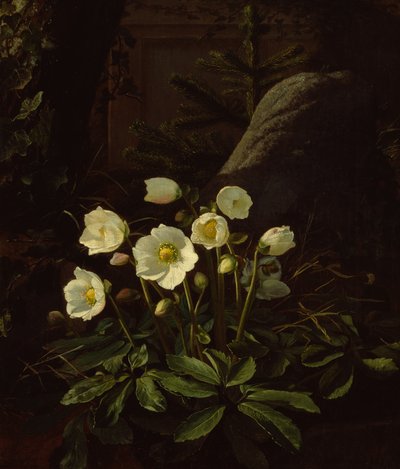 假山上的 Hellebores（布面油画） 作者 奥托·迪德里克·奥特森