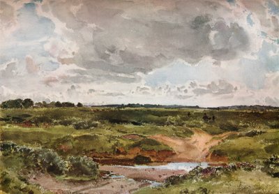 八月的Southwold Common"，约1889年 作者 奥托有限公司