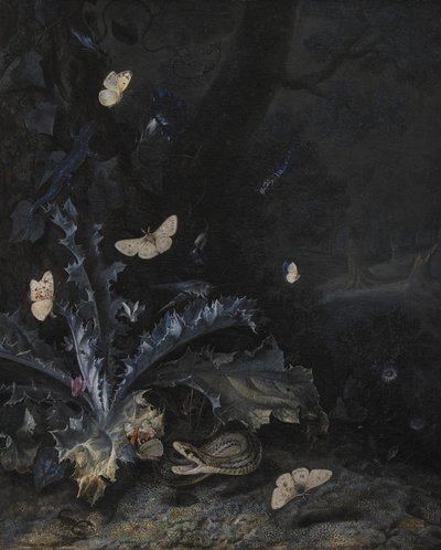 蓟花与蛇的静物 作者 Otto Marseus  van Schrieck