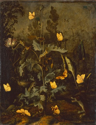 鸟巢里的蛇/鸦片罂粟花与鸟巢、蛇、蝴蝶和一只最小的黄鼠狼 作者 奥托·马修斯·范·施里克