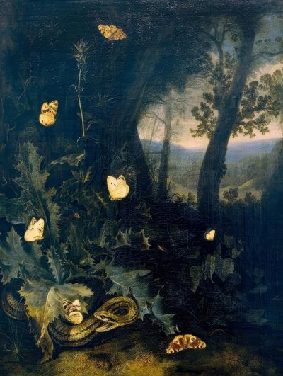 森林地带的蓟和蛇 作者 奥托·马修斯·范·施里克
