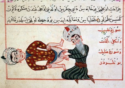 医学：雌雄同体去雄。 Sharaf al-din 的土耳其医学疗法的缩影 作者 奥斯曼帝国学校