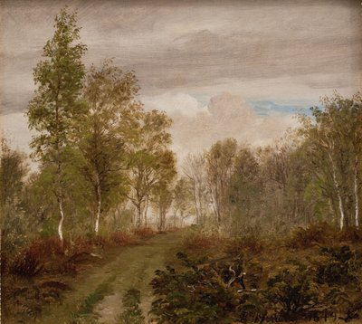 雨后 Læsø 上的桦树 作者 PC Skovgaard