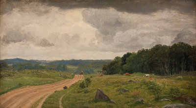 海岛 Kongens Møller 的风景。午后光线 作者 PC Skovgaard