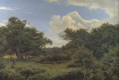 新西兰 Jægerspris 附近 Nordskoven 的橡树 作者 PC Skovgaard