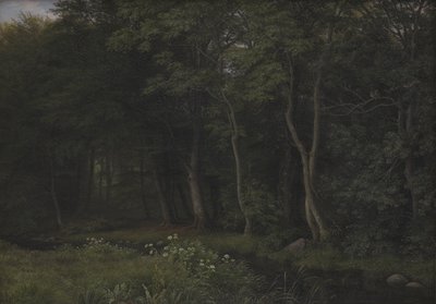 伊瑟林根庄园附近树林中的黄昏场景，新西兰 作者 PC Skovgaard