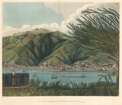 约瑟夫-康斯坦丁-施塔德勒（Joseph Constantine Stadler，花期 1780-1812 年）1 月 18 日从哈文希特拍摄的圣托马斯风景石版画 作者 PM（之后）Vieillot