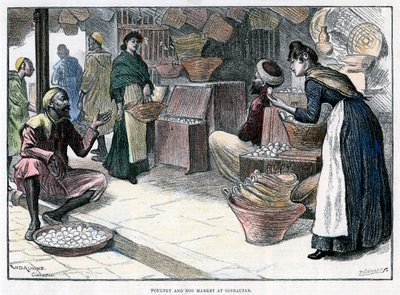 直布罗陀的家禽和鸡蛋市场，约1880年。 作者 P瑙曼