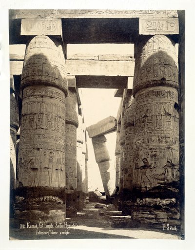 埃及卡尔纳克的阿蒙-雷神庙的大厅，1878年 作者 P塞巴