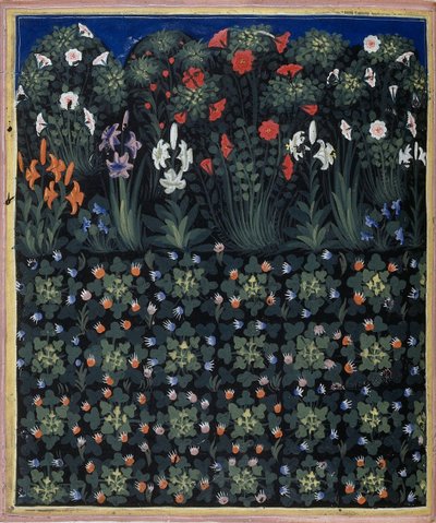 Regia Carmina的花园，Convenevole da Prato提供 作者 帕西诺迪布奥纳吉达