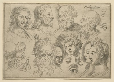十头素描板，1636年 作者 帕尔玛（Palma Il Giovane）