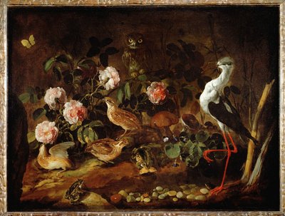 猫头鹰和朱鹮的静物画 - Nature morte avec une chouette et un ibis ... 作者 保罗·波波拉（Paolo Porpora）