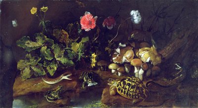 有蛇、青蛙、龟和蜥蜴的静物（布面油画） 作者 保罗·波波拉（Paolo Porpora）