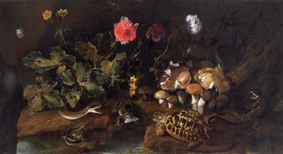 蛇、青蛙、乌龟和蜥蜴的静物画》，1656-1673年 作者 保罗·波波拉（Paolo Porpora）
