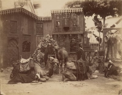 骆驼馆 作者 帕斯卡·塞巴（PascalSébah）