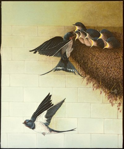 饥饿的嘴》，2011 年（花布上的丙烯画） 作者 帕特·斯科特