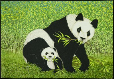 美好时光 作者 帕特·斯科特