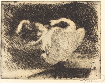 Leda Sleeping Léda s