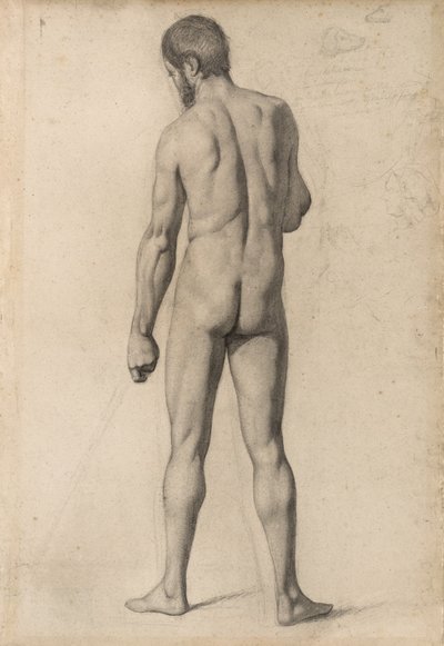 从背面看的学术裸体，1862年 作者 Paul Cézanne