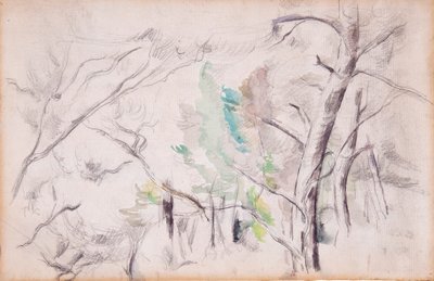 树木（Arbres）[直面]；恩卡尼亚纳与国王之杵（Encagnane and the Pilon du Roi）[背面]。 作者 保罗·塞尚