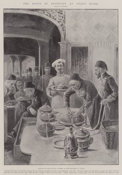 Yildiz Kiosk的Suspician统治 作者 保罗·弗伦岑尼
