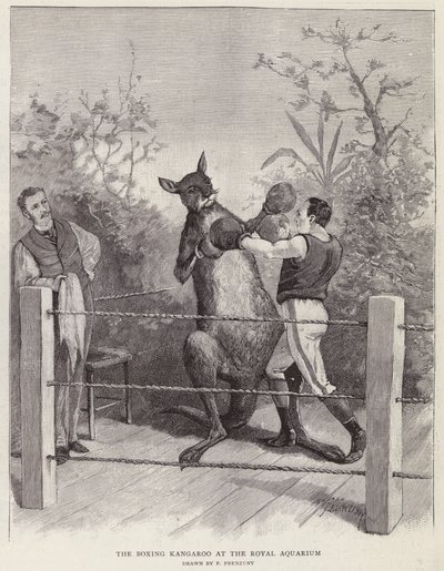 The boxing kangaroo at the Royal Aquarium, London (litho) 作者 保罗·弗伦岑尼