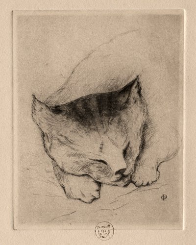 六刻：小猫头，1895年。 作者 保罗·加歇