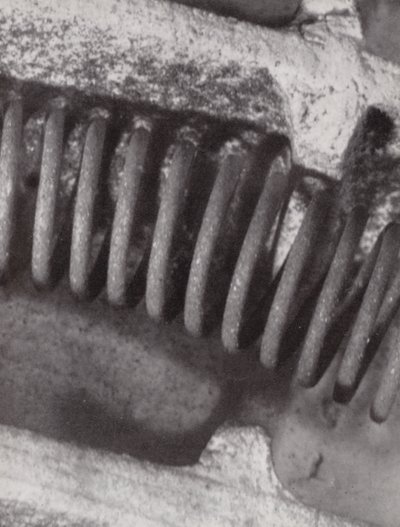 电炉灯丝（黑白照片） 作者 保罗·亨宁