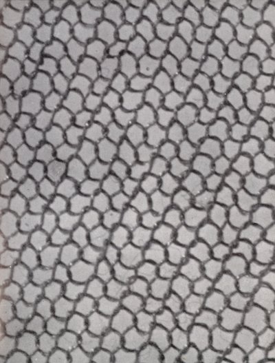 妇女长袜的网眼（黑白照片） 作者 保罗·亨宁