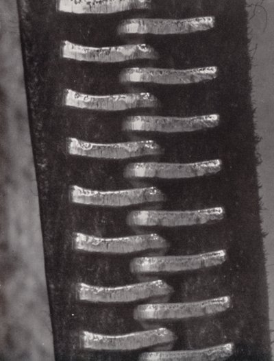 拉链扣（黑白照片） 作者 保罗·亨宁