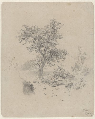 有橡树的风景 作者 保罗·约瑟夫·康斯坦丁·加布里埃尔
