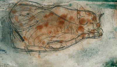 睡猫； 睡觉的猫 作者 保罗·克莱