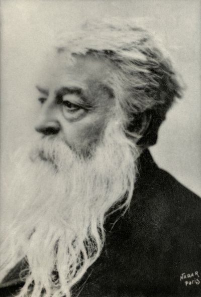 欧内斯特-梅索尼耶肖像（照片） 作者 Paul Nadar