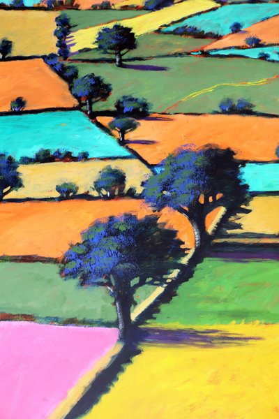 Burcome (acrylic on board) 作者 保罗·鲍伊斯
